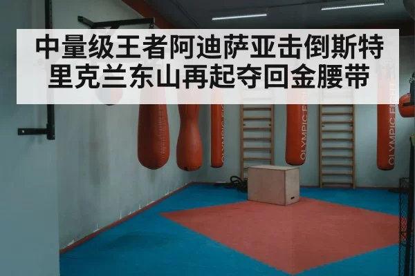 中量级王者阿迪萨亚击倒斯特里克兰东山再起夺回金腰带